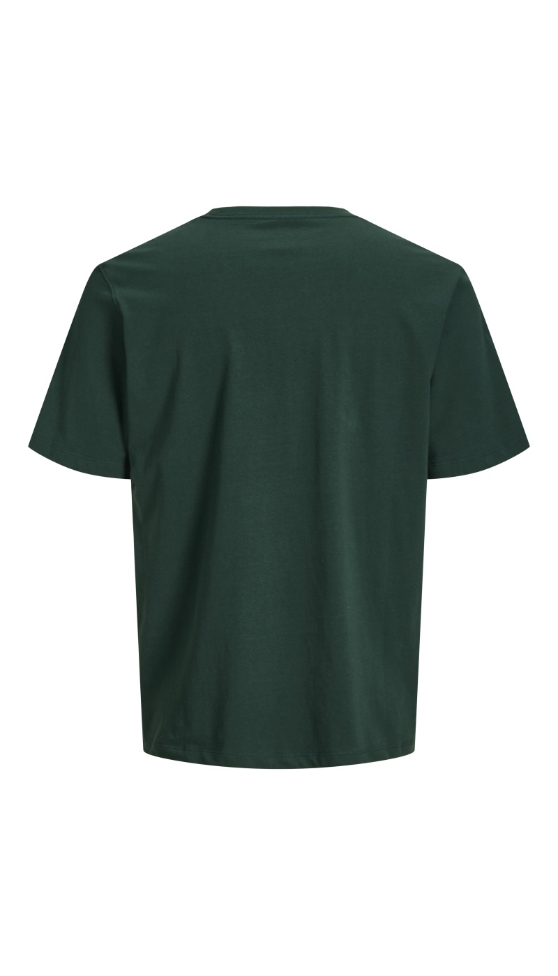 T-Shirt Logo Pine Grove JORFREDERIKSBERG Jack&Jones - 2 | TOPS